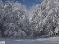 2017-12-29 V. del Morretano 178